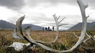 El deshielo en el suelo de Alaska está desatando la liberación masiva de CO2 en el aire<em></em>